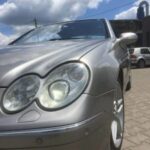 67743639-483902688853364-5830163627507712000-n-450x600-1-225x300