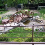 dom-za-stara-lica-banjica-21-675589500f215