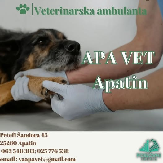 Veterinarska ambulanta APA VET Apatin pruža stručnu veterinarsku negu, preglede i dijagnostiku za male i velike životinje. Posetite nas!