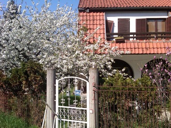 zavičaj 1