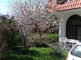 zavičaj 3
